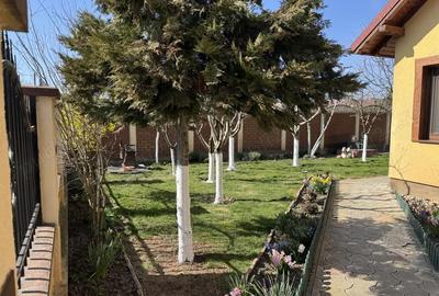 Casă cu 3 camere cu Teren 450 Mp în Central - 3