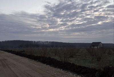 Spațiu comercial, în Păușa