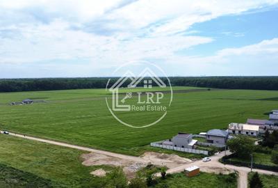 Teren Construcții intravilan de 25000 mp, în Dascălu - 7