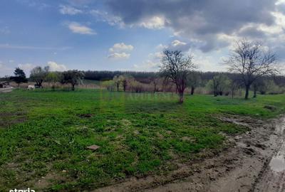 Spațiu comercial, în Buturugeni - 6