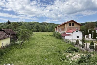 Teren de 1200 mp, în Provița de Sus - 12