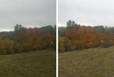 Teren faneata Vizantea Livezi; ID: R2800475 - 3