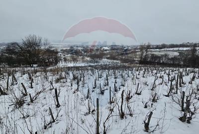 Teren de 6850 mp, în Izvor