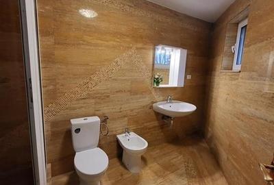 Vila individuala proximitate Penny / rond OMV / 1000mp teren - 13