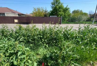 Teren intravilan zona KM 5, Constan?a - 6