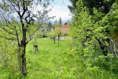 Vila vacanta Cheia - Prahova, pretabila pentru investitie - 41