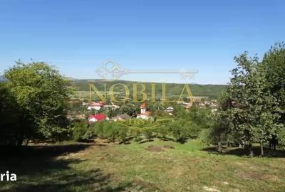 Teren de 10537 mp, în Bogdănești - 12