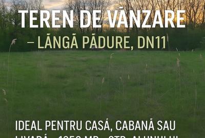 Teren ideal pentru casa de vacanta sau locuinta permanenta, la marginea padurii - 9