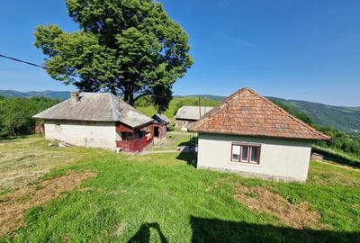 Casa de vanzare in Tranisu ( Valea Draganului ) - 10