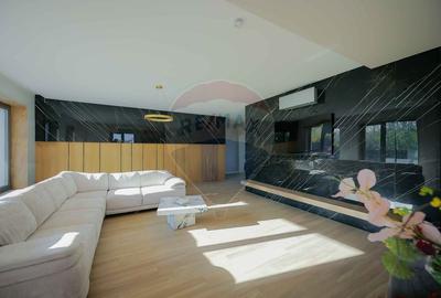 De vanzare Vila cu 8 camere in Sanmartin, 290 mp util, teren 1100 mp - 1