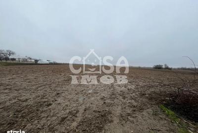 Teren de 1950 mp, în Mogoșani - 2
