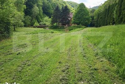 Casă cu 3 camere cu Teren 2500 Mp în Ighiu - 16