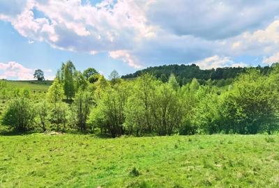25.000 mp TEREN IDEAL AFACERE TURISM – AMENAJARE LAC DE PESCUIT, CIUCEA - CLUJ - 21