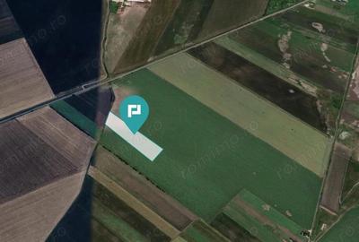 Teren extravilan de 22500 mp in Varia?ul Mare - 4