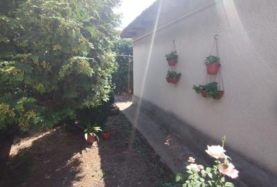 Casă locuibilă Km5 - 11