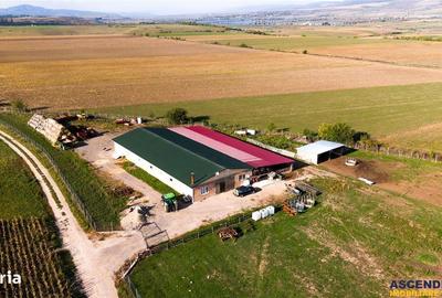 Teren de 18000 mp, în Feldioara - 7