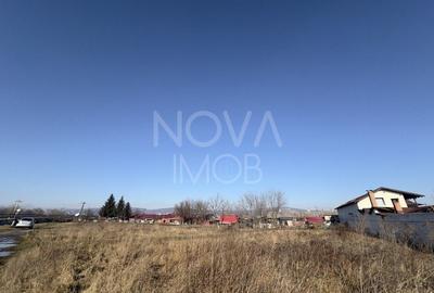 Teren Construcții intravilan de 4345 mp, în Nord - 3