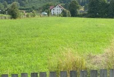 Teren de 6000 mp, în Central - 6