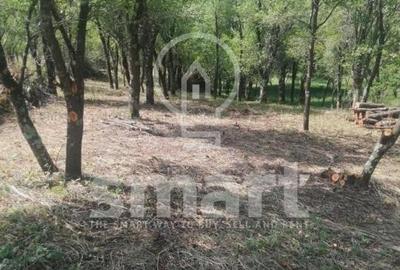 Teren intravilan cu CF 5400mp front 17 Savadisla jud Cluj - 2