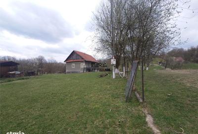 Teren de 9370 mp, în Baia de Criș - 13