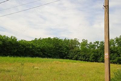Teren de 1000 mp, în Valea Stânii - 3