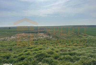 Teren de 10000 mp, în Valu lui Traian - 9