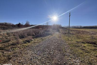 Spațiu comercial, în Băile Felix - 3