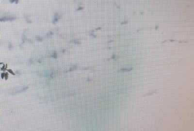 MALL VITAN-CALEA VITAN-GARSONIERA - 3