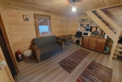 Cabana cu mansarda - 5