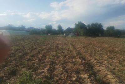 Casa de vanzare Chizatau - 1