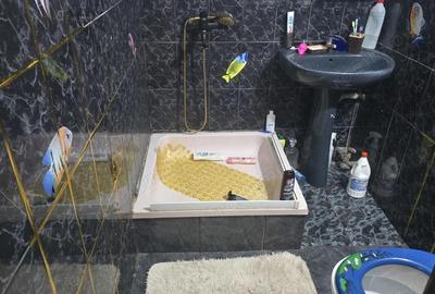 Vand casa in Deva, zona Garii, P+M, suprafata construita aproximativ 120 mp, constructie renovata - 10