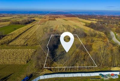 Teren Construcții intravilan de 4200 mp, în Dejani - 1