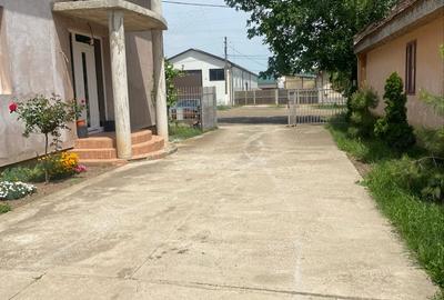 Casa+Hala, teren 2300mp-Biled Casa+Hala, teren 2300mp-Biled - 4