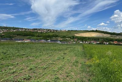 Spațiu comercial, în Șura Mare - 5