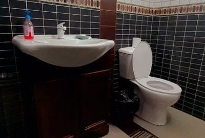 Vanzare proprietate - casa si teren  Voinesti Dambovita - 16