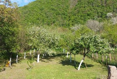 Teren de 1000 mp, în Central - 4