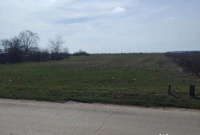 Teren de 15500 mp, în Dascălu - 4