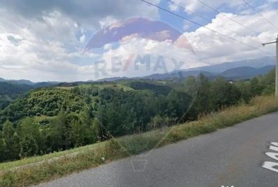 Teren de 2000 mp, în Peștera - 8
