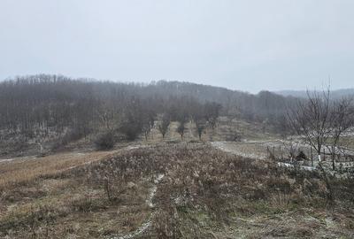 Casă individuală cu 2 camere cu Canalizare în Mitrofani - 3