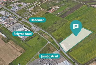 Teren agricol extravilan de 55340 mp, în Micălaca - 3