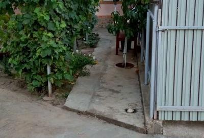 Casă cu 4 camere în Cudalbi - 2