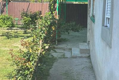 Vand doua case + un loc - 4