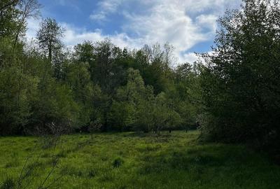Casă cu Teren 20000 Mp în Vârfurile - 4