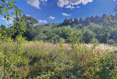 Naidas, Casa 7 Incaperi, 842mp Teren, Pret Negociabil - 1