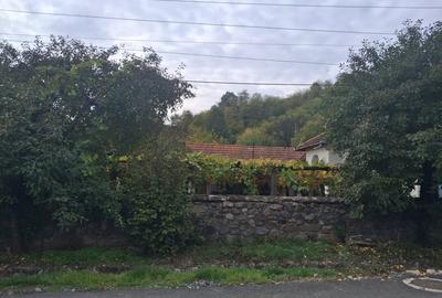 Casa traditionala cu teren generos - Borosteni, Pestisani, jud. Gorj - 2