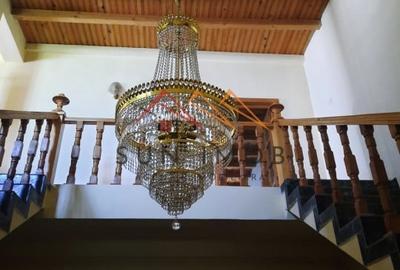 Casa tip conac, teren 4000 mp, finisaje deosebite, garaj, Prahova - 6