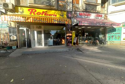 Pantelimon,Chisinau,Piata Delfinului,250 mp,toate utilitatile, - 6