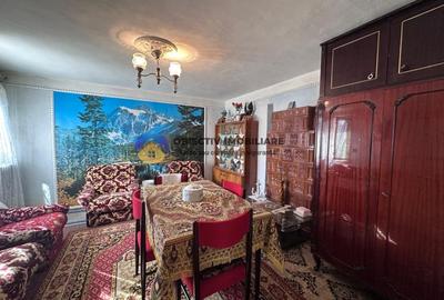 Casa traditionala de vanzare - Alexandru cel Bun- view spre munte si lac - 17