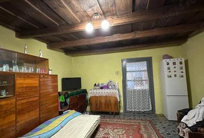 Casă cu Teren 11000 Mp în Cefa - 1