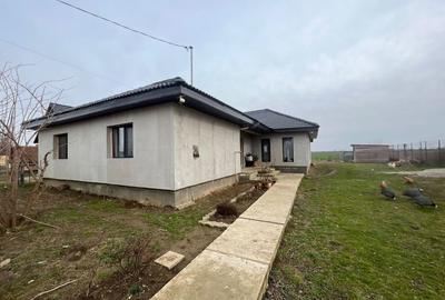 Casă cu 3 camere cu Teren 2000 Mp în Vetiș - 4